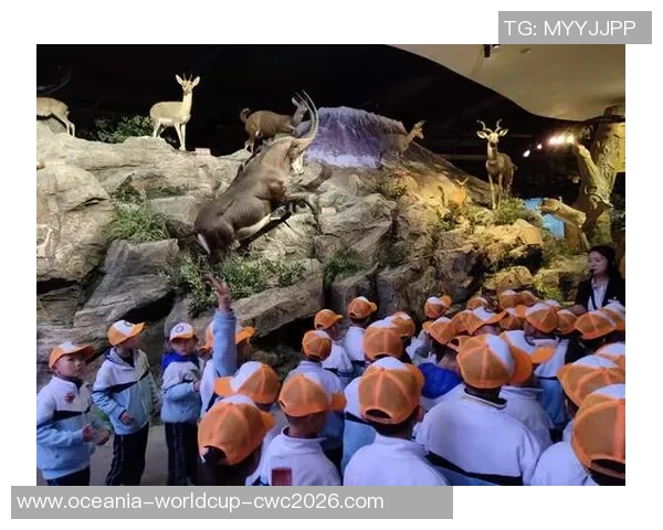 足球小子拼音的精彩世界探索与成长之旅